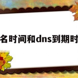 域名时间和dns到期时间(域名dns生效时间)