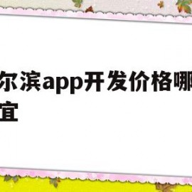 哈尔滨app开发价格哪家便宜(哈尔滨app开发价格哪家便宜些)