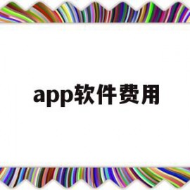 app软件费用(软件费用包括哪些)