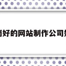 关于龙岗好的网站制作公司好吗的信息