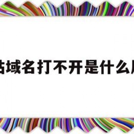 网站域名打不开是什么原因(打开网址显示域名错误)