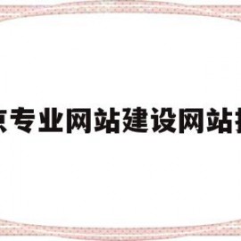 北京专业网站建设网站推广的简单介绍