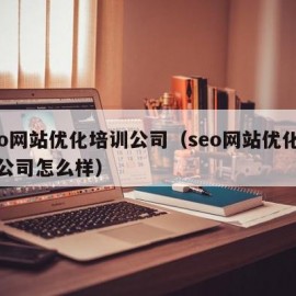 seo网站优化培训公司（seo网站优化培训公司怎么样）