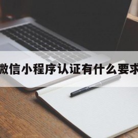 微信小程序认证有什么要求(微信小程序认证有什么要求吗)