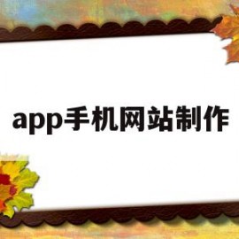 app手机网站制作(手机网站生成app工具)