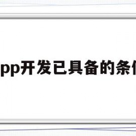 app开发已具备的条件(app开发费用一般多少钱)