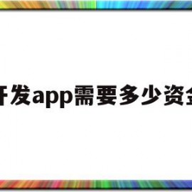 开发app需要多少资金(建一个app平台的费用多少)