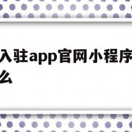 华入驻app官网小程序是什么的简单介绍