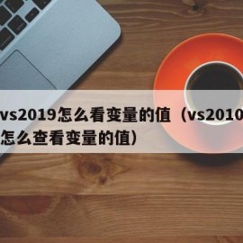 vs2019怎么看变量的值（vs2010怎么查看变量的值）