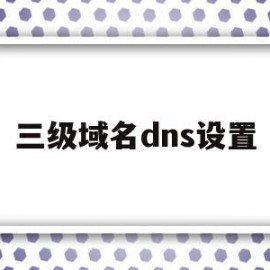 三级域名dns设置的简单介绍