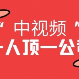 满满干货的中视频课程，一人干一家公司的利润