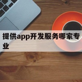 关于提供app开发服务哪家专业的信息