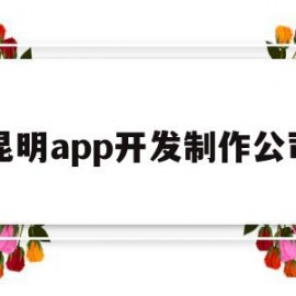 昆明app开发制作公司(昆明app软件专业开发公司)