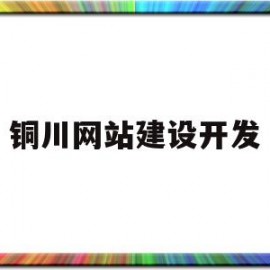 铜川网站建设开发(铜川网站推广)