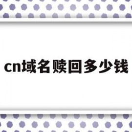 cn域名赎回多少钱(域名过了赎回期还能续费吗)