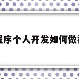 小程序个人开发如何做社交(个人开发的小程序可以支付吗)