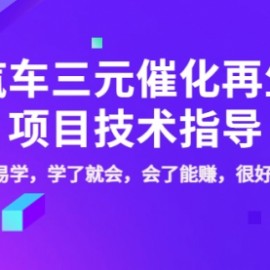 汽车三元催化再生项目技术指导，简单易学，学了就会，会了能赚，很好赚！