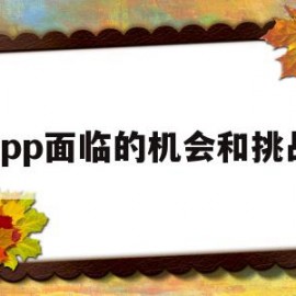 app面临的机会和挑战(app面临的机会和挑战有哪些)