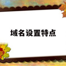 域名设置特点(域名特点是什么)