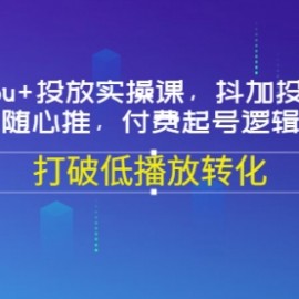 Dou+投放实操课，抖加投放，随心推，付费起号逻辑，打破低播放转化