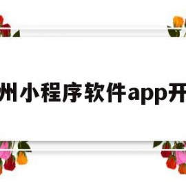 杭州小程序软件app开发(杭州小程序软件app开发公司)