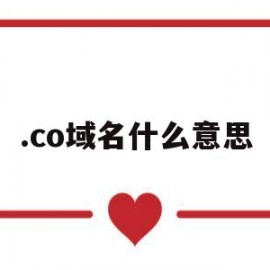 .co域名什么意思(域名com是指什么)