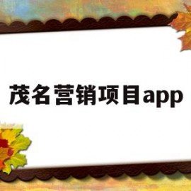 茂名营销项目app(茂名seo排名)