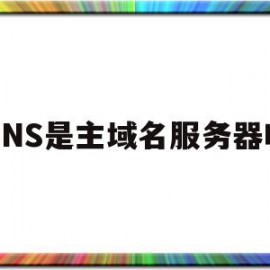 DNS是主域名服务器吗(dns主服务器应该填什么)