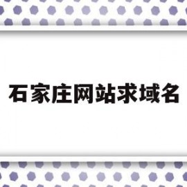 石家庄网站求域名(石家庄网站优化seo)