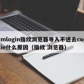 vmlogin指纹浏览器导入不进去cookie什么原因（指纹 浏览器）