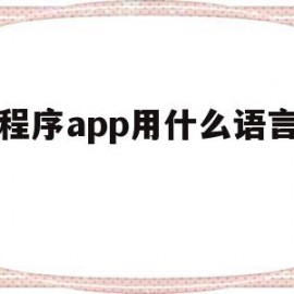 小程序app用什么语言开发(小程序app用什么语言开发好)