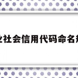 企业社会信用代码命名规则(企业社会信用代码命名规则是什么)