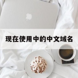 现在使用中的中文域名(中文域名是含有中文的新一代域名)