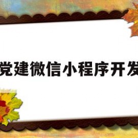 党建微信小程序开发(党建微平台叫什么名字)