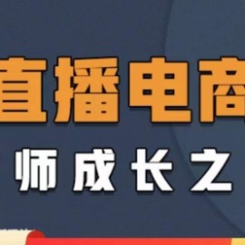 直播电商高手成长之路：教你成为直播电商大师，玩转四大板块（25节）