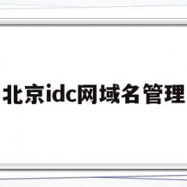 北京idc网域名管理的简单介绍