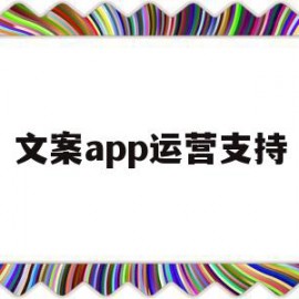 文案app运营支持(文旅app的运营文案)