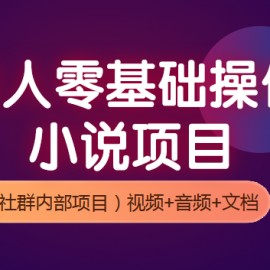 新人零基础操作小说项目，轻松过万（社群内部项目）