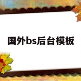 国外bs后台模板(国外b2b平台有哪些)