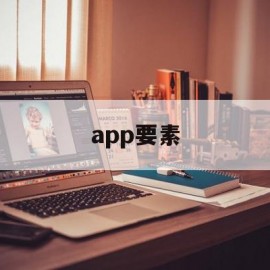 app要素(APP要素分析)