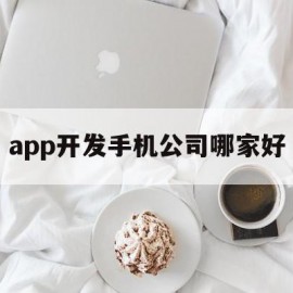 app开发手机公司哪家好(app开发手机公司哪家好一点)