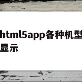 关于html5app各种机型显示的信息