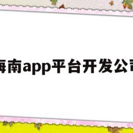 海南app平台开发公司(海南app平台开发公司有哪些)