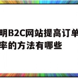 说明B2C网站提高订单转化率的方法有哪些(如何使b2c网站获得更大的收益)