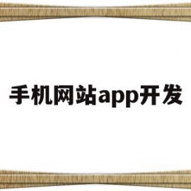 手机网站app开发(手机网站app开发软件)