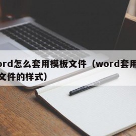 Word怎么套用模板文件（word套用模板文件的样式）