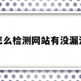 怎么检测网站有没漏洞(怎么检测网站有没漏洞呢)