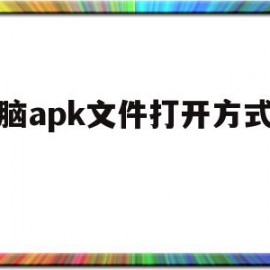 电脑apk文件打开方式更改(电脑如何打开apk文件格式)