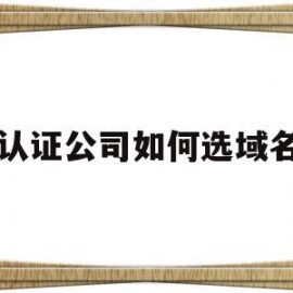 认证公司如何选域名(域名个人认证和企业认证有什么区别)