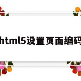 html5设置页面编码(html设置编码为utf8)